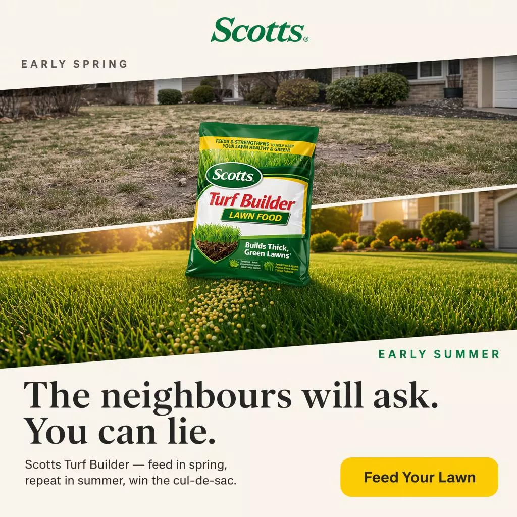 Scotts Turf Builder after